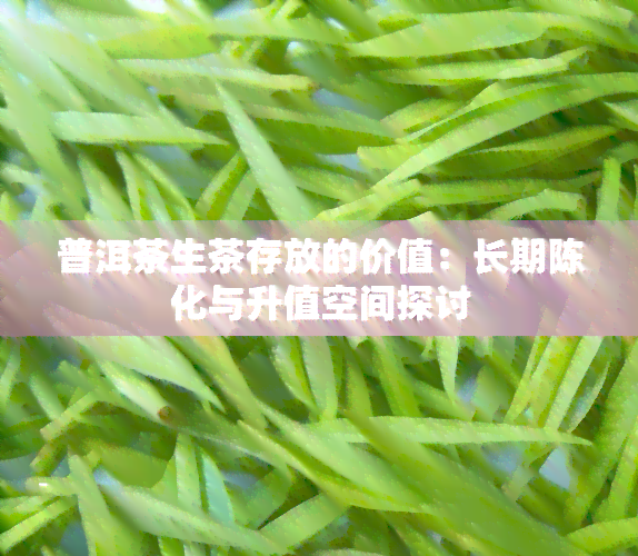 普洱茶生茶存放的价值：长期陈化与升值空间探讨