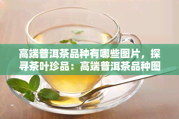 高端普洱茶品种有哪些图片，探寻茶叶珍品：高端普洱茶品种图片大