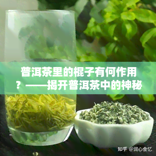 普洱茶里的棍子有何作用？——揭开普洱茶中的神秘小棍子