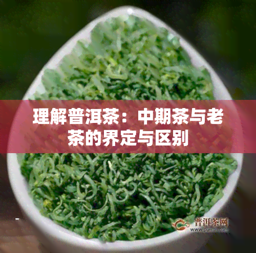 理解普洱茶：中期茶与老茶的界定与区别