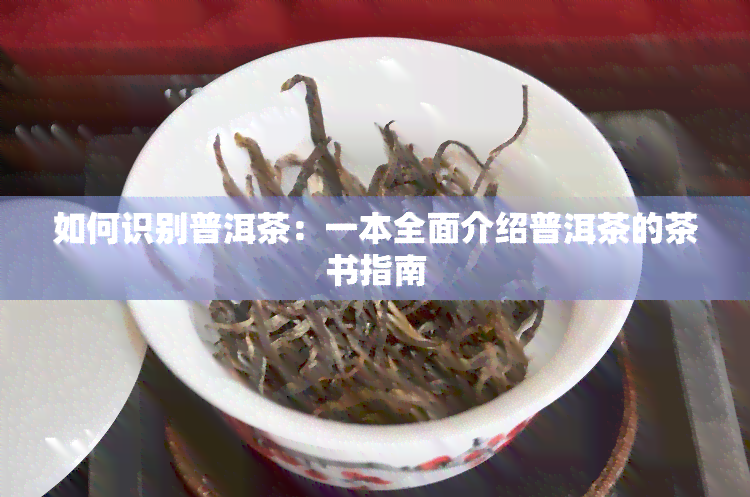 如何识别普洱茶：一本全面介绍普洱茶的茶书指南