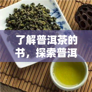 了解普洱茶的书，探索普洱茶的世界：一本全面了解普洱茶的书