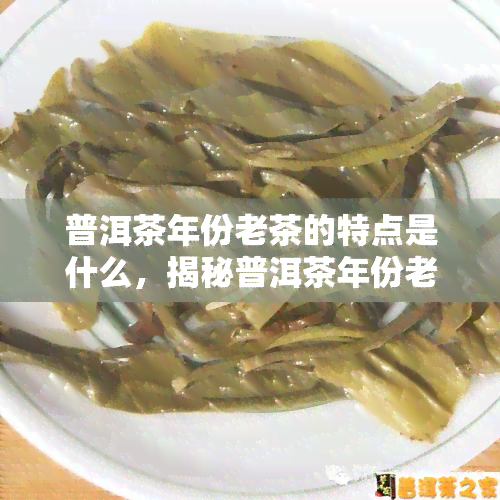 普洱茶年份老茶的特点是什么，揭秘普洱茶年份老茶的独特特点