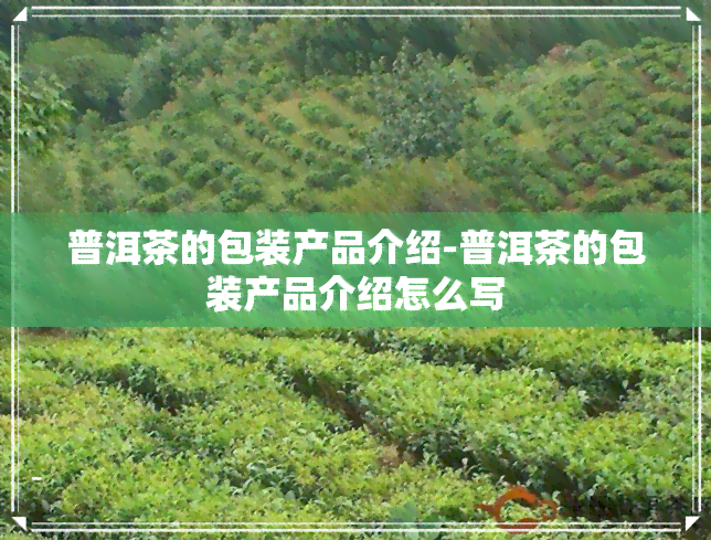 普洱茶的包装产品介绍-普洱茶的包装产品介绍怎么写