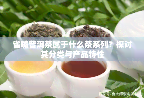 雀嘴普洱茶属于什么茶系列？探讨其分类与产品特性