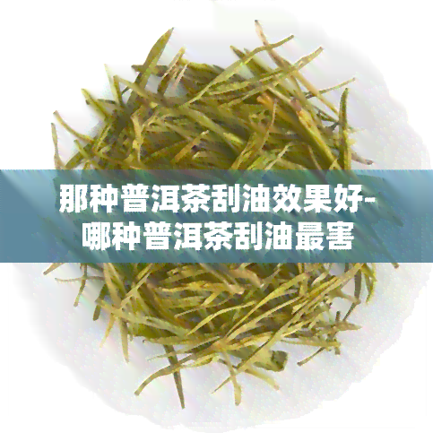 那种普洱茶刮油效果好-哪种普洱茶刮油最害