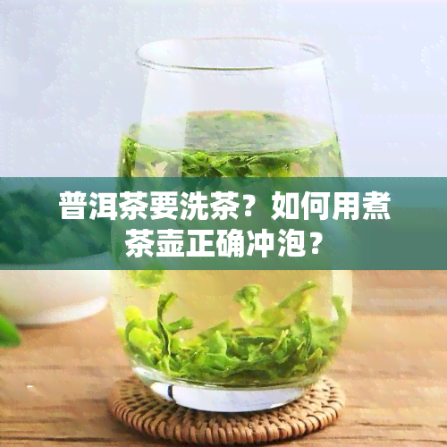 普洱茶要洗茶？如何用煮茶壶正确冲泡？