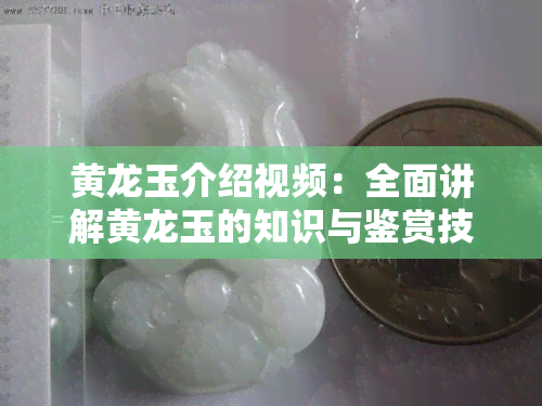 黄龙玉介绍视频：全面讲解黄龙玉的知识与鉴赏技巧