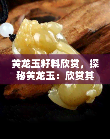 黄龙玉籽料欣赏，探秘黄龙玉：欣赏其独特的籽料之美