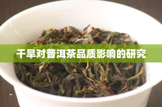 干旱对普洱茶品质影响的研究