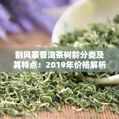 刮风寨普洱茶树龄分类及其特点：2019年价格解析