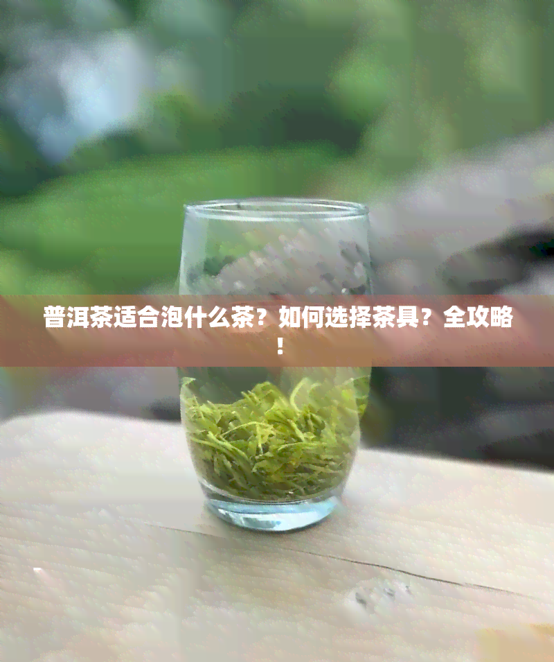 普洱茶适合泡什么茶？如何选择茶具？全攻略！