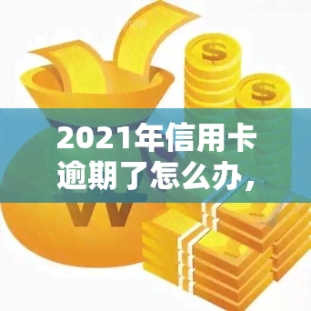 2021年信用卡逾期了怎么办，2021年信用卡逾期处理指南