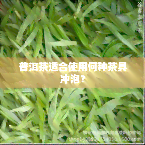 普洱茶适合使用何种茶具冲泡？