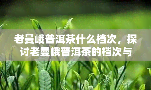 老曼峨普洱茶什么档次，探讨老曼峨普洱茶的档次与品质