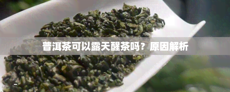 普洱茶可以露天醒茶吗？原因解析