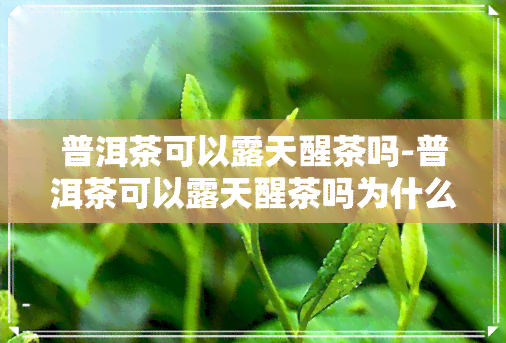 普洱茶可以露天醒茶吗-普洱茶可以露天醒茶吗为什么