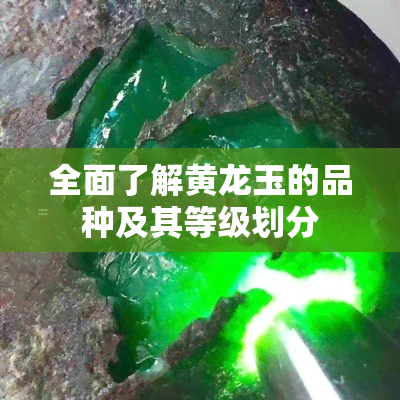 全面了解黄龙玉的品种及其等级划分