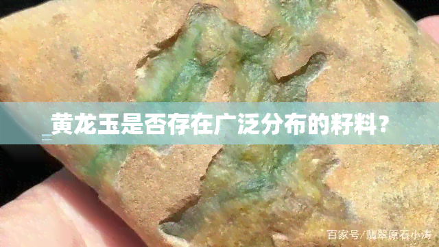 黄龙玉是否存在广泛分布的籽料？