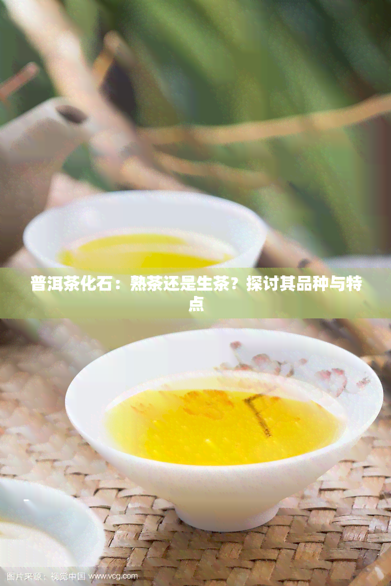 普洱茶化石：熟茶还是生茶？探讨其品种与特点