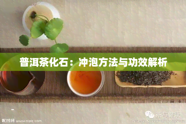 普洱茶化石：冲泡方法与功效解析