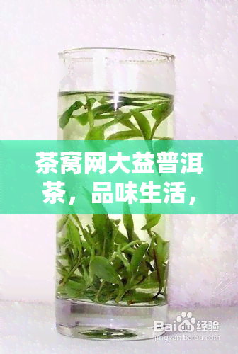 茶窝网大益普洱茶，品味生活，探索茶道：茶窝网大益普洱茶的品质与魅力