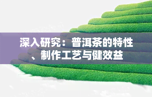 深入研究：普洱茶的特性、制作工艺与健效益