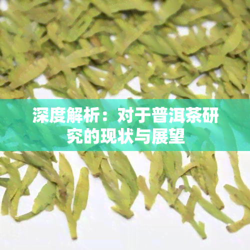 深度解析：对于普洱茶研究的现状与展望