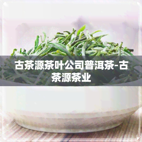 古茶源茶叶公司普洱茶-古茶源茶业