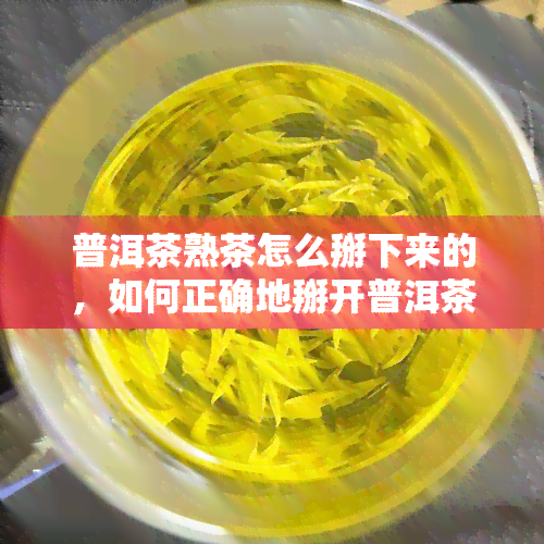 普洱茶熟茶怎么掰下来的，如何正确地掰开普洱茶熟茶？