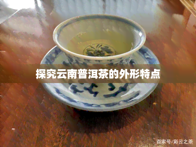 探究云南普洱茶的外形特点