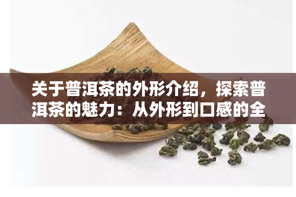 关于普洱茶的外形介绍，探索普洱茶的魅力：从外形到口感的全方位解析