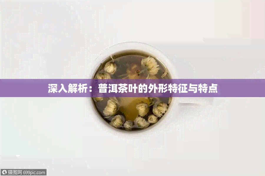 深入解析：普洱茶叶的外形特征与特点