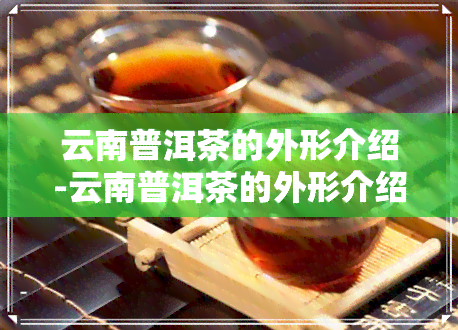 云南普洱茶的外形介绍-云南普洱茶的外形介绍和特点