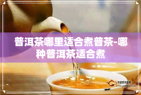 普洱茶哪里适合煮普茶-哪种普洱茶适合煮