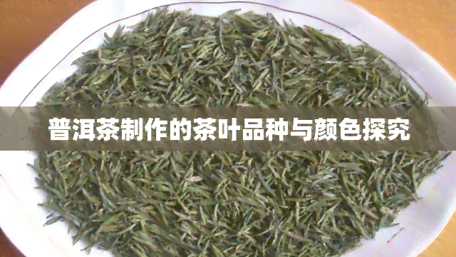 普洱茶制作的茶叶品种与颜色探究