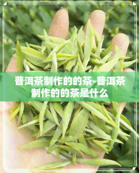 普洱茶制作的的茶-普洱茶制作的的茶是什么