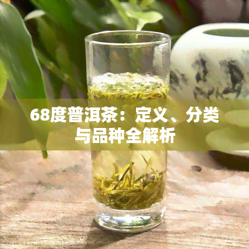 68度普洱茶：定义、分类与品种全解析