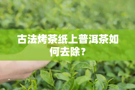 古法烤茶纸上普洱茶如何去除？