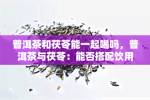 普洱茶和茯苓能一起喝吗，普洱茶与茯苓：能否搭配饮用？