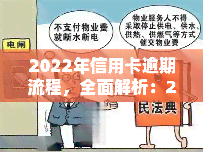 2022年信用卡逾期流程，全面解析：2022年信用卡逾期的处理流程