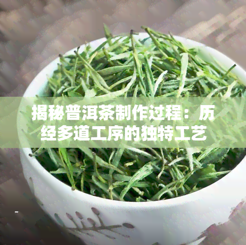 揭秘普洱茶制作过程：历经多道工序的独特工艺