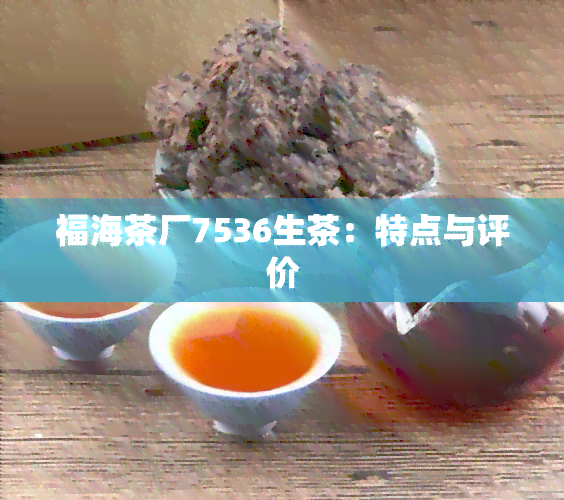 福海茶厂7536生茶：特点与评价