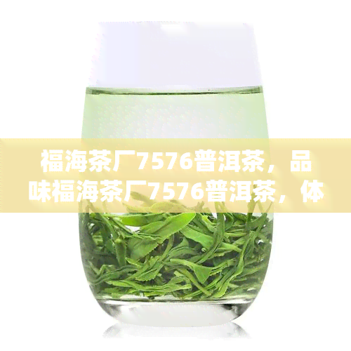 福海茶厂7576普洱茶，品味福海茶厂7576普洱茶，体验传统与现代的完美结合