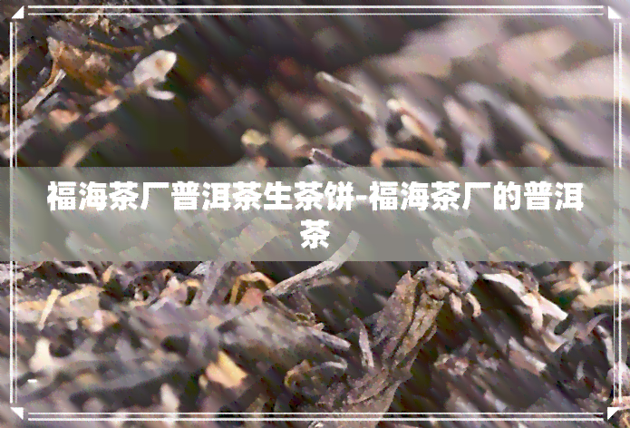 福海茶厂普洱茶生茶饼-福海茶厂的普洱茶