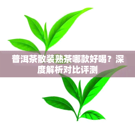 普洱茶散装熟茶哪款好喝？深度解析对比评测