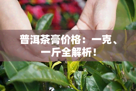 普洱茶膏价格：一克、一斤全解析！