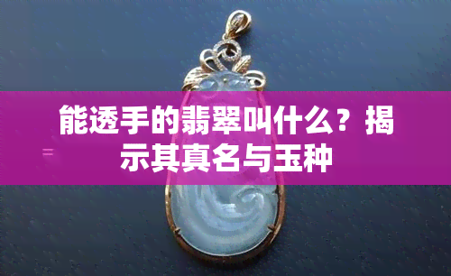 能透手的翡翠叫什么？揭示其真名与玉种