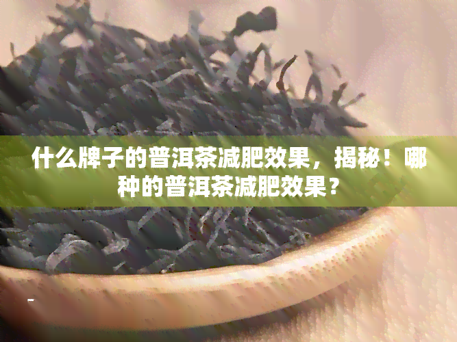 什么牌子的普洱茶减肥效果，揭秘！哪种的普洱茶减肥效果？