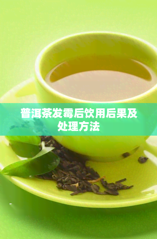 普洱茶发霉后饮用后果及处理方法